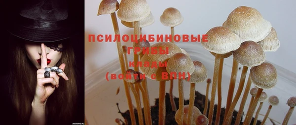 прущая мука Богородск
