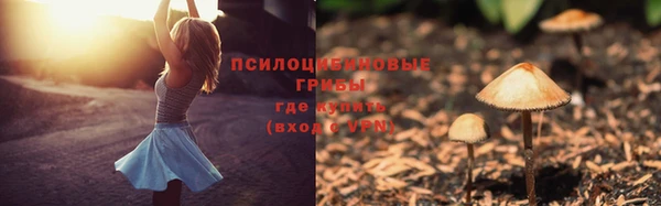 apvp Белокуриха