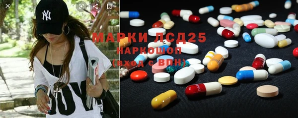 молекула духа Богданович