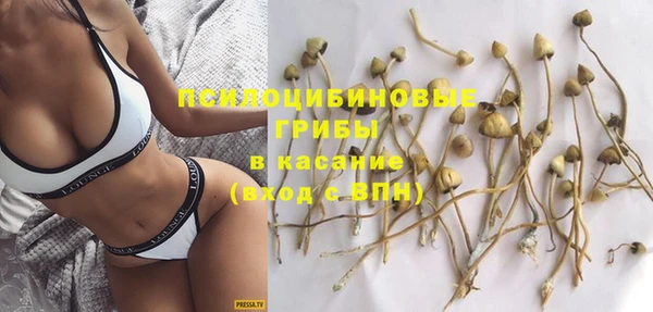молекула духа Богданович